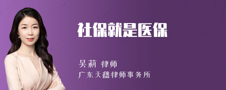 社保就是医保