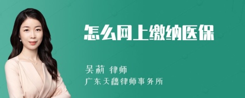 怎么网上缴纳医保