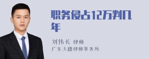 职务侵占12万判几年