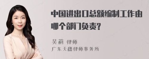 中国进出口总额编制工作由哪个部门负责?