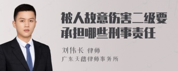 被人故意伤害二级要承担哪些刑事责任