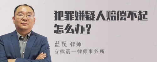 犯罪嫌疑人赔偿不起怎么办？