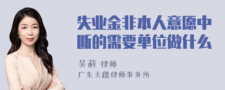 失业金非本人意愿中断的需要单位做什么