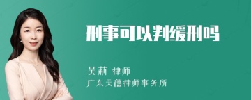 刑事可以判缓刑吗