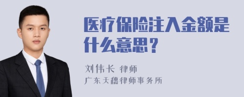 医疗保险注入金额是什么意思？