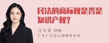 民法的商标权是否是知识产权?