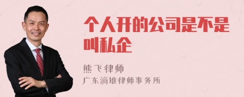 个人开的公司是不是叫私企