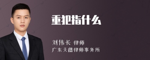 重犯指什么