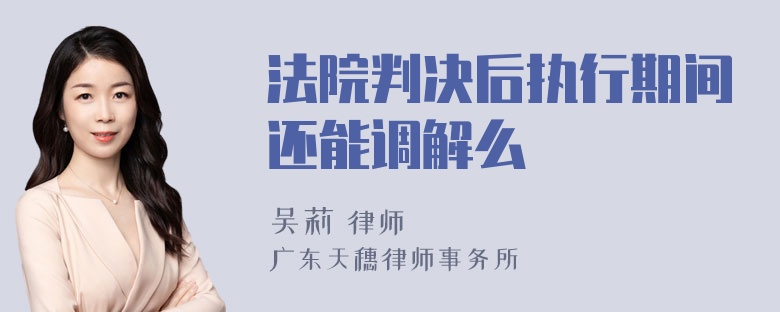 法院判决后执行期间还能调解么