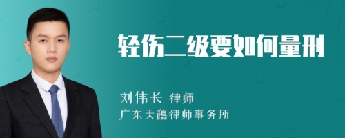 轻伤二级要如何量刑