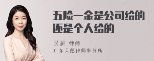 五险一金是公司给的还是个人给的