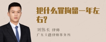 犯什么罪拘留一年左右?