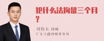 犯什么法拘留三个月?