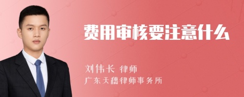 费用审核要注意什么