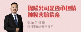 保险公司是否承担精神损害赔偿金