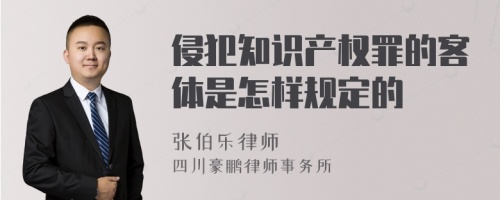 侵犯知识产权罪的客体是怎样规定的