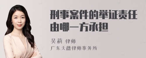 刑事案件的举证责任由哪一方承担