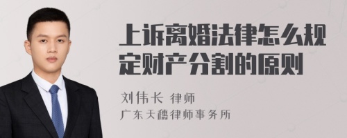 上诉离婚法律怎么规定财产分割的原则