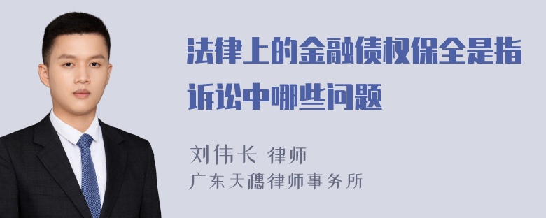 法律上的金融债权保全是指诉讼中哪些问题