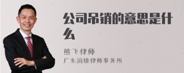 公司吊销的意思是什么