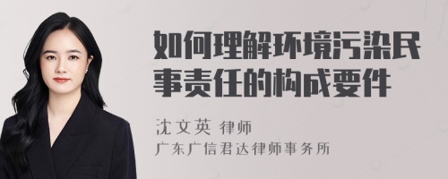 如何理解环境污染民事责任的构成要件