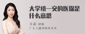 大学统一交的医保是什么意思