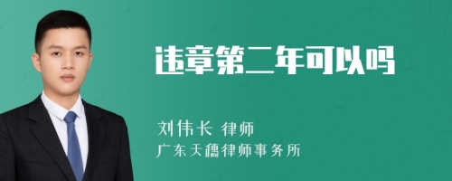 违章第二年可以吗