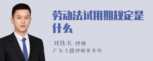 劳动法试用期规定是什么