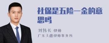 社保是五险一金的意思吗