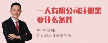 一人有限公司注册需要什么条件