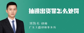 抽逃出资罪怎么处罚