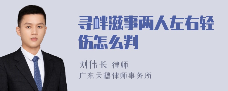 寻衅滋事两人左右轻伤怎么判