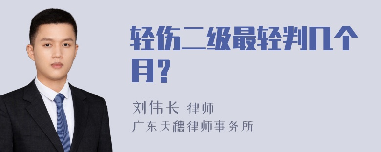 轻伤二级最轻判几个月？