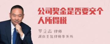 公司奖金是否要交个人所得税