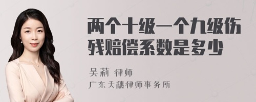 两个十级一个九级伤残赔偿系数是多少