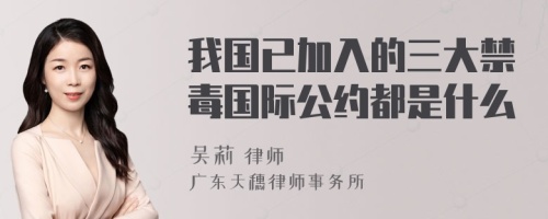 我国已加入的三大禁毒国际公约都是什么