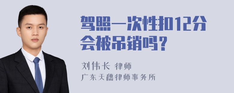 驾照一次性扣12分会被吊销吗？