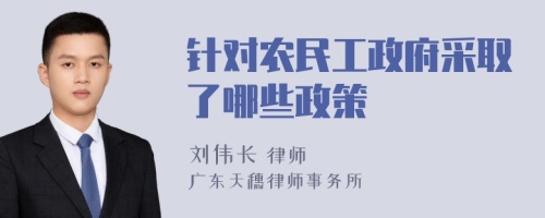 针对农民工政府采取了哪些政策