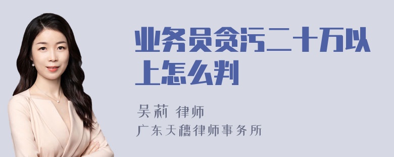 业务员贪污二十万以上怎么判