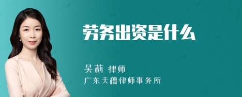 劳务出资是什么