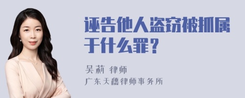 诬告他人盗窃被抓属于什么罪？