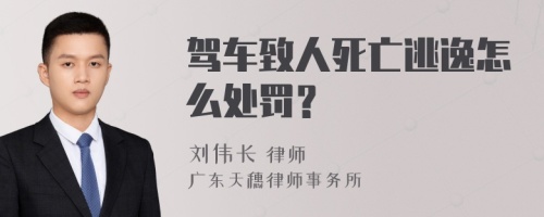 驾车致人死亡逃逸怎么处罚？