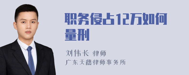 职务侵占12万如何量刑