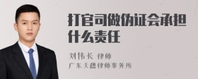 打官司做伪证会承担什么责任