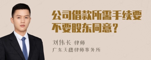 公司借款所需手续要不要股东同意？