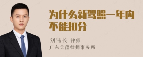 为什么新驾照一年内不能扣分