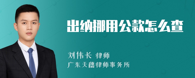 出纳挪用公款怎么查