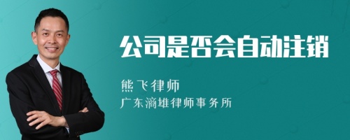 公司是否会自动注销