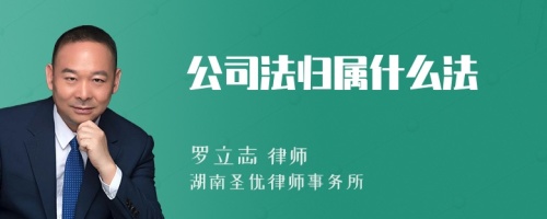 公司法归属什么法