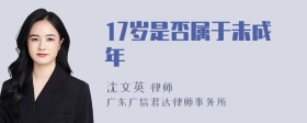 17岁是否属于未成年